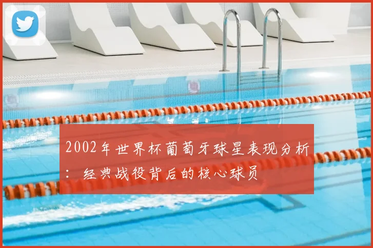2002年世界杯葡萄牙球星表现分析:经典战役背后的核心球员