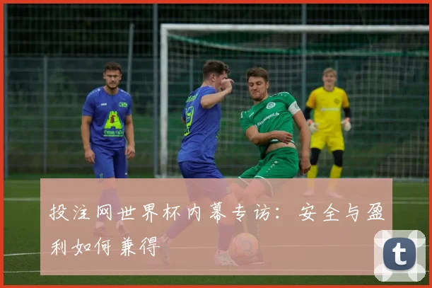 投注网世界杯内幕专访:安全与盈利如何兼得