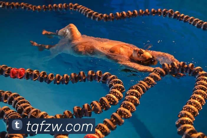 emc易倍体育官博服务体系